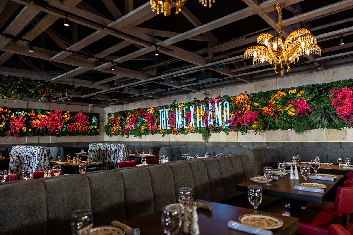 The Mexicano Chandler